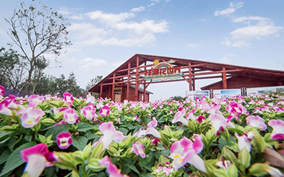 ca88手机客户端(安卓/苹果)CA88会员登录入口